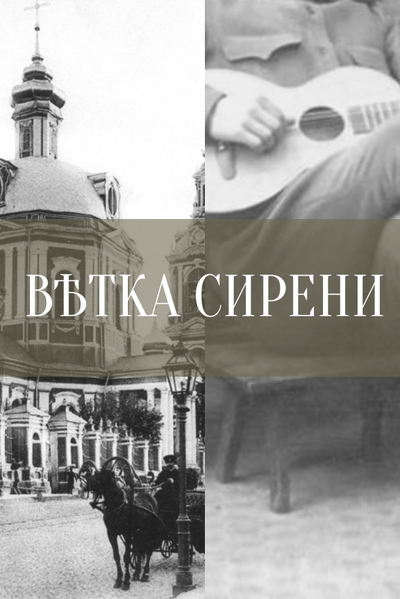 Ветка сирени